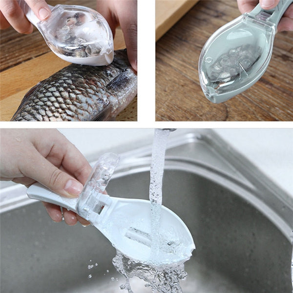 Fish Scale Scaper with Lid