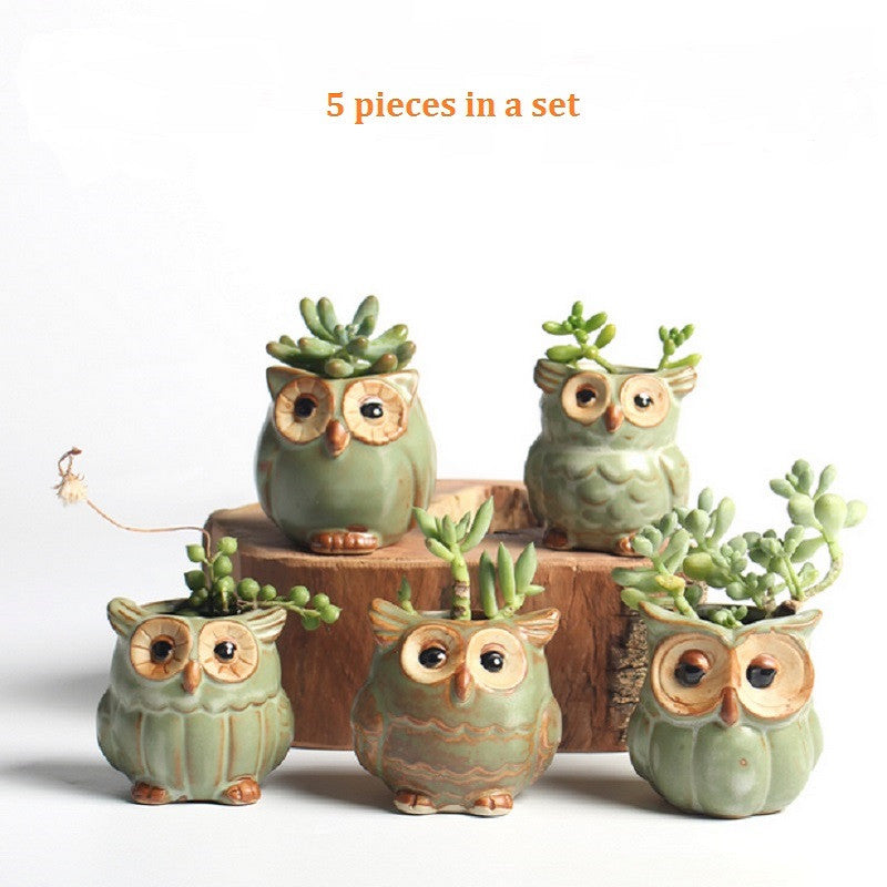 5pc/set Owl Flower Pot