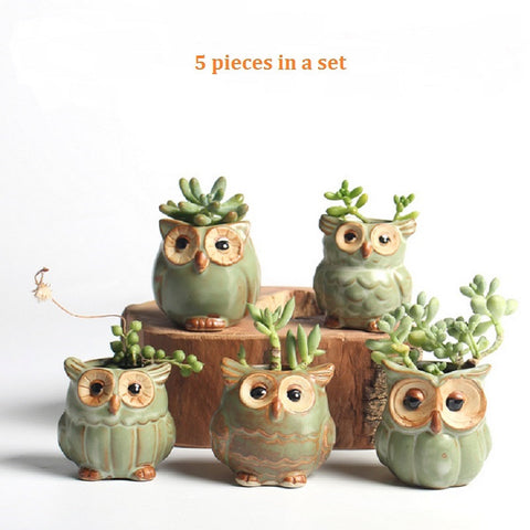 5pc/set Owl Flower Pot