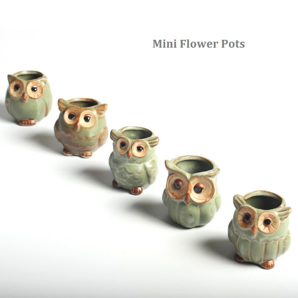 5pc/set Owl Flower Pot