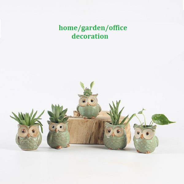 5pc/set Owl Flower Pot