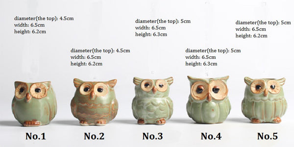 5pc/set Owl Flower Pot