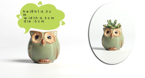5pc/set Owl Flower Pot