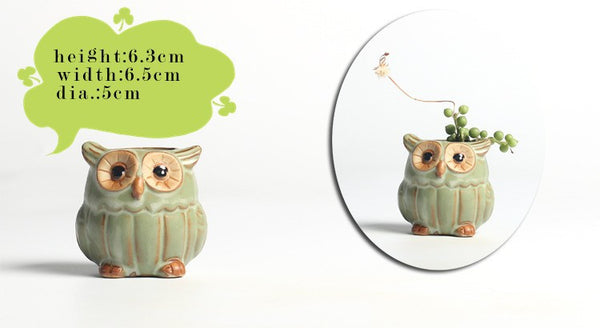 5pc/set Owl Flower Pot