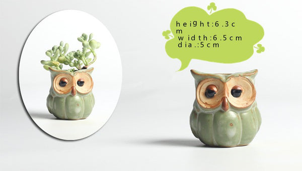 5pc/set Owl Flower Pot