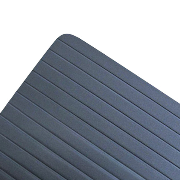 RAPID THAW - HEATING TRAY (Free Shipping)