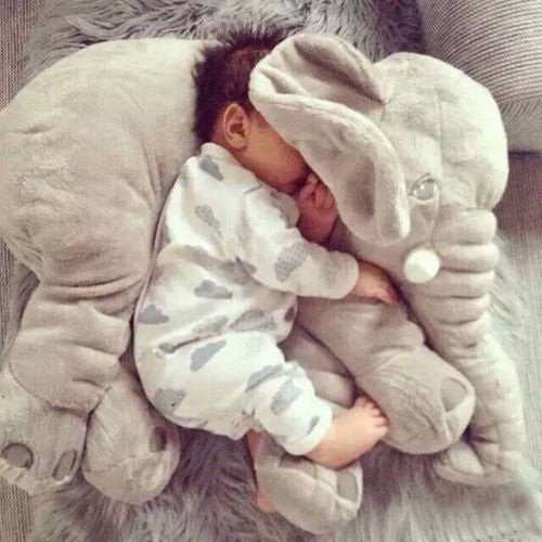 Elephant Pillow (Free Shipping*)